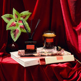 Soy Candle - Plush Vetiver