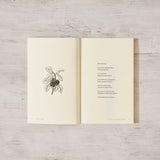 It Is All Equally Fragile Book