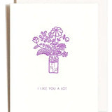 I Like You A Lot Card