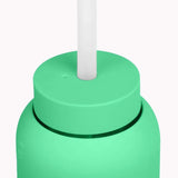 27oz Bottle Lounge Straw + Cap - Paris Green
