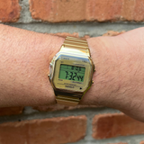 T80 34mm Expansion Band Watch - Gold