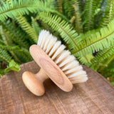 Massage Brush with Knob Handle