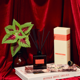 Reed Diffuser - Plush Vetiver