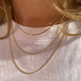 Dainty Chain Necklace - Gold