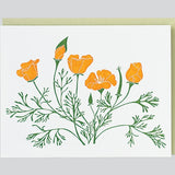 Poppies Card