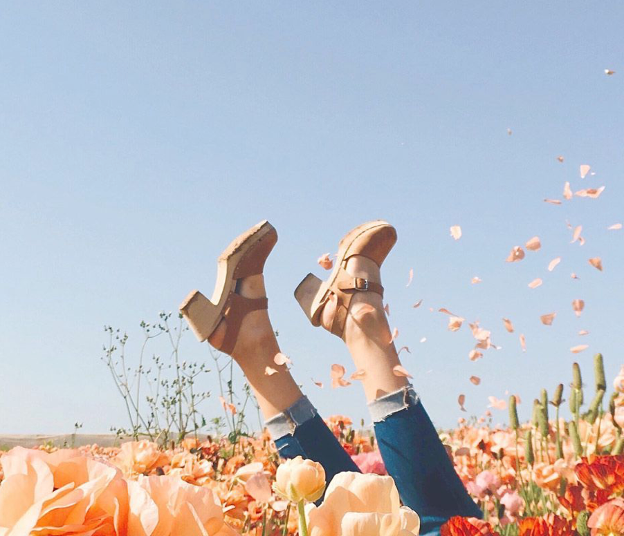 Lotta Clog Care