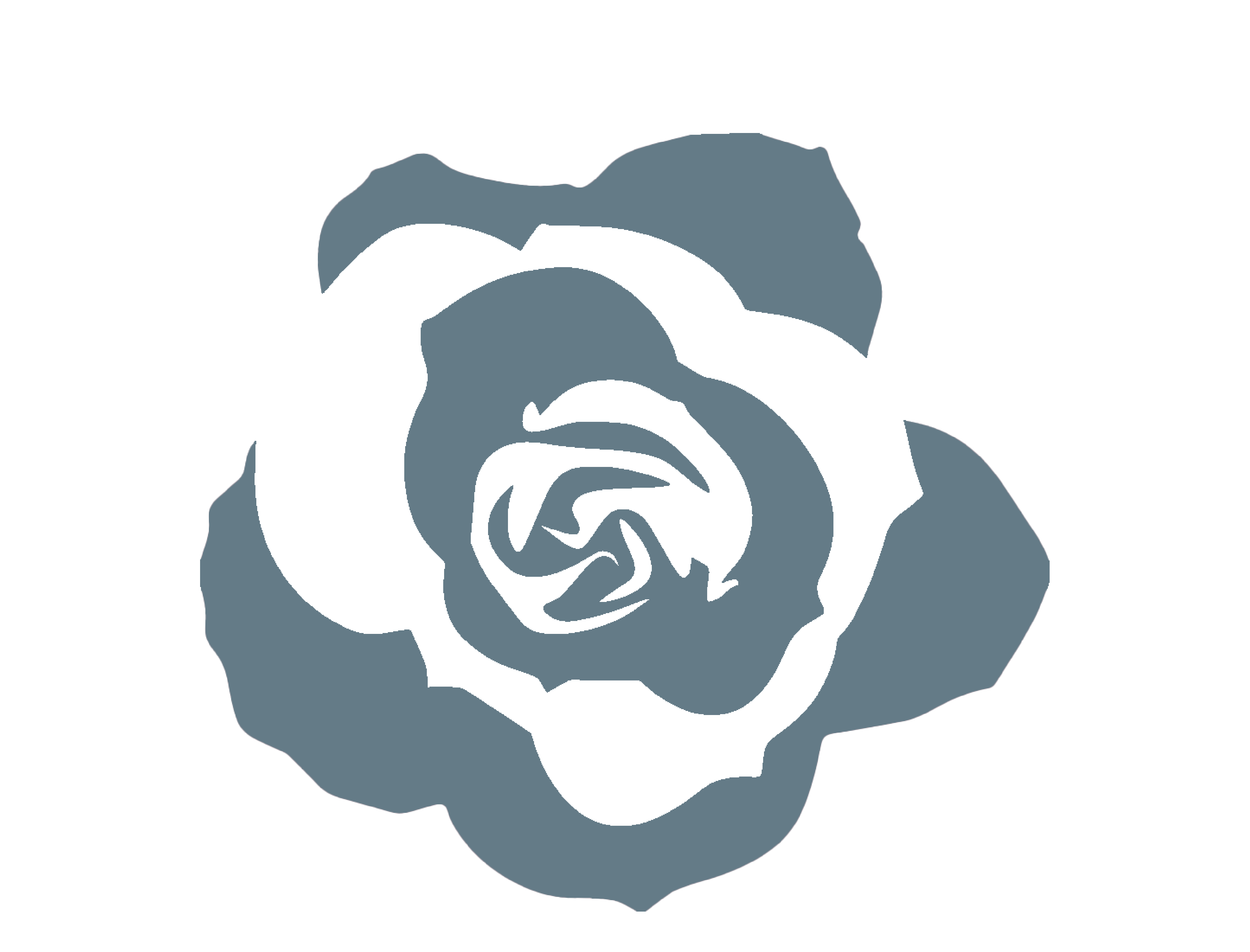 March 2021 | Be a Rose