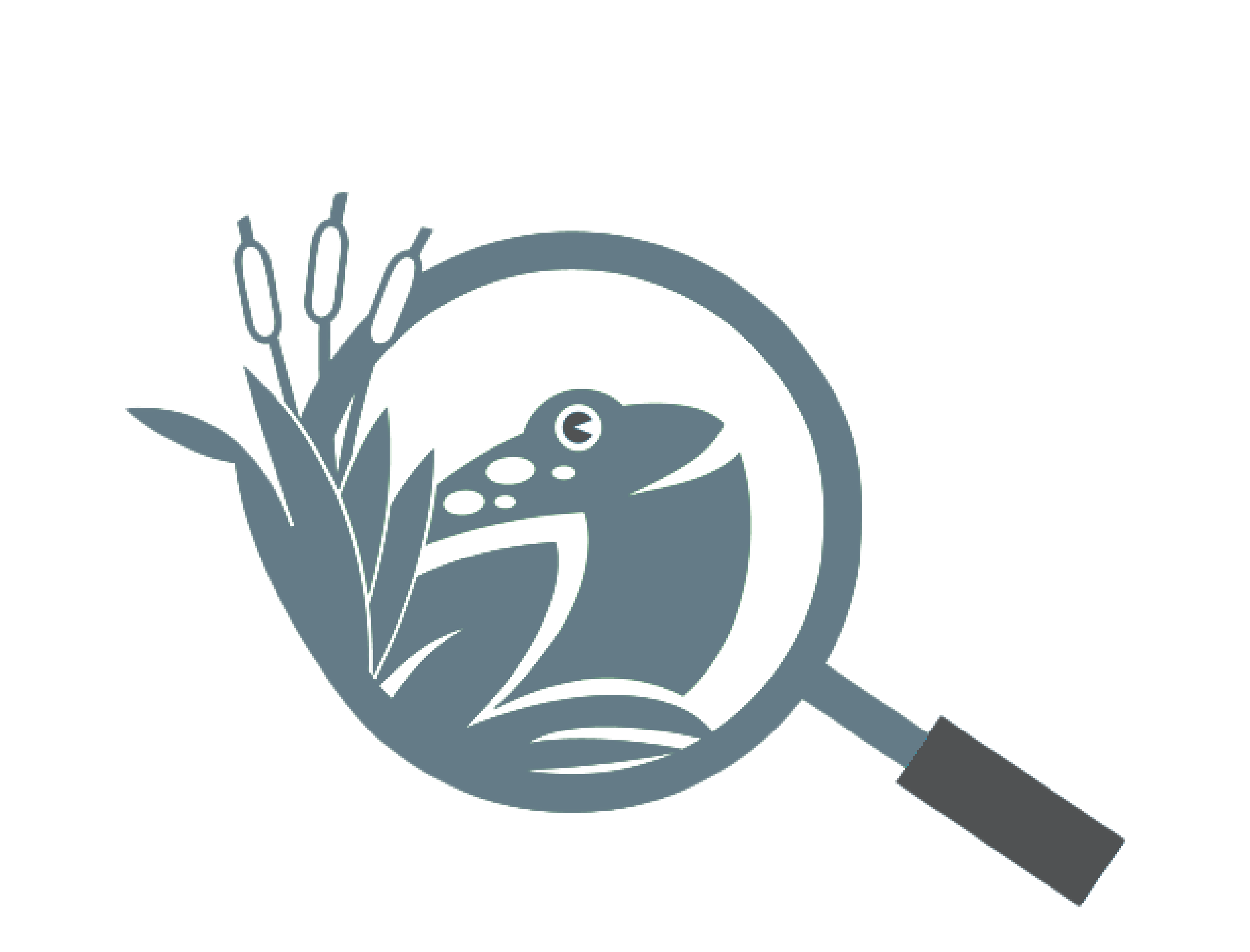 April 2022 | Outdoor Discovery Center