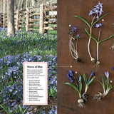 Martha Stewart's Gardening Handbook