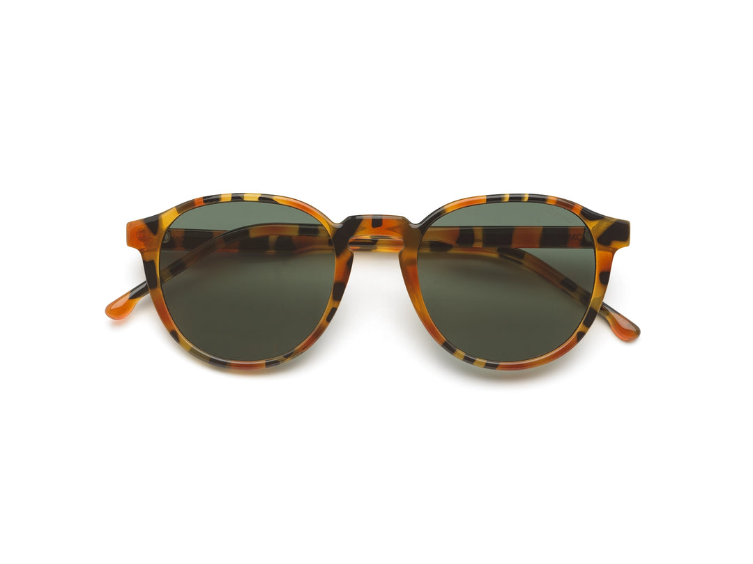 Liam Sunglasses - Amber Shell