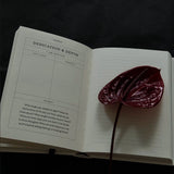 The Becoming Journal