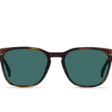 Alvez Sunglasses - Kola Tortoise / Pacifica