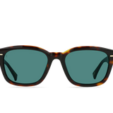 Carby Sunglasses - Kola Tortoise / Pacifica