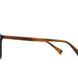Basq Sunglasses - Pinyon Grove / Vibrant Brown