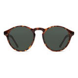 Devon Sunglasses - Tortoise