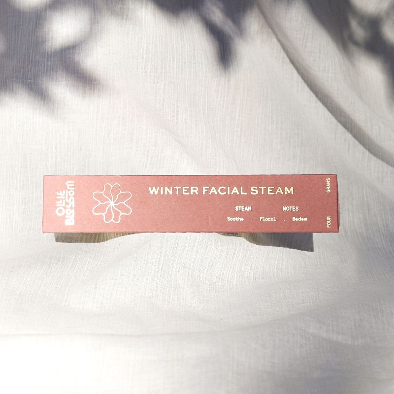 Winter Facial Steamer