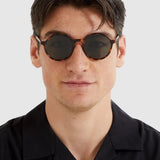 Madison Sunglasses - Tortoise