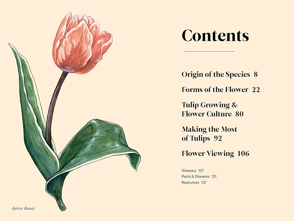 Tulips - A Little Book Of Flowers