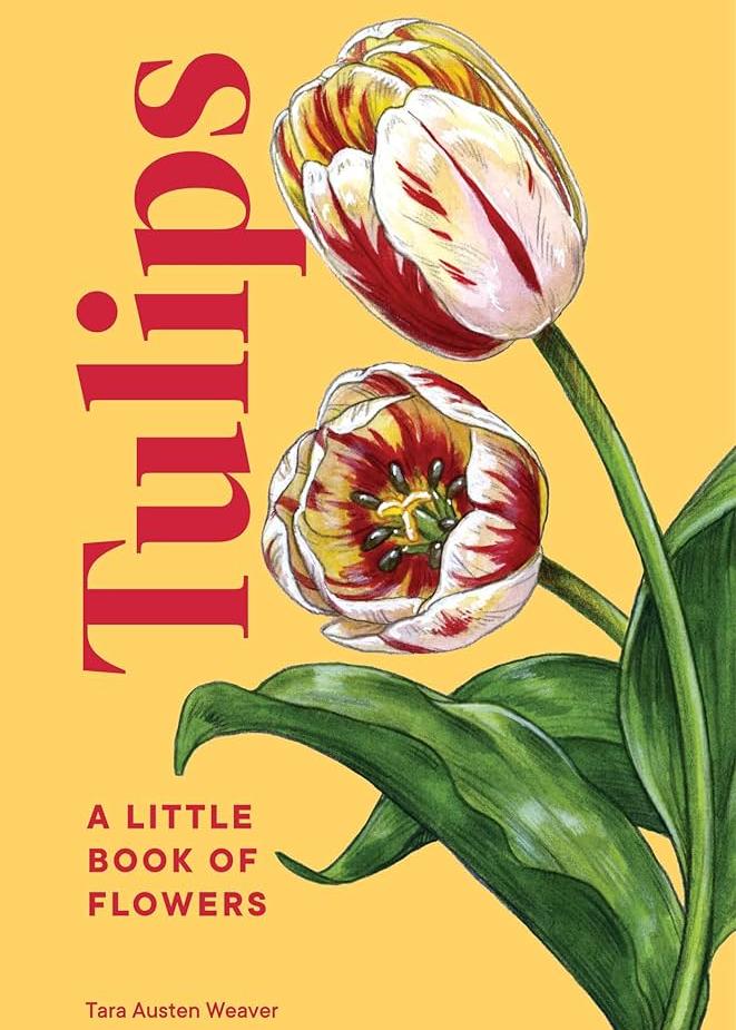 Tulips - A Little Book Of Flowers