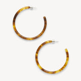 Large Hoops - Modern Walnut