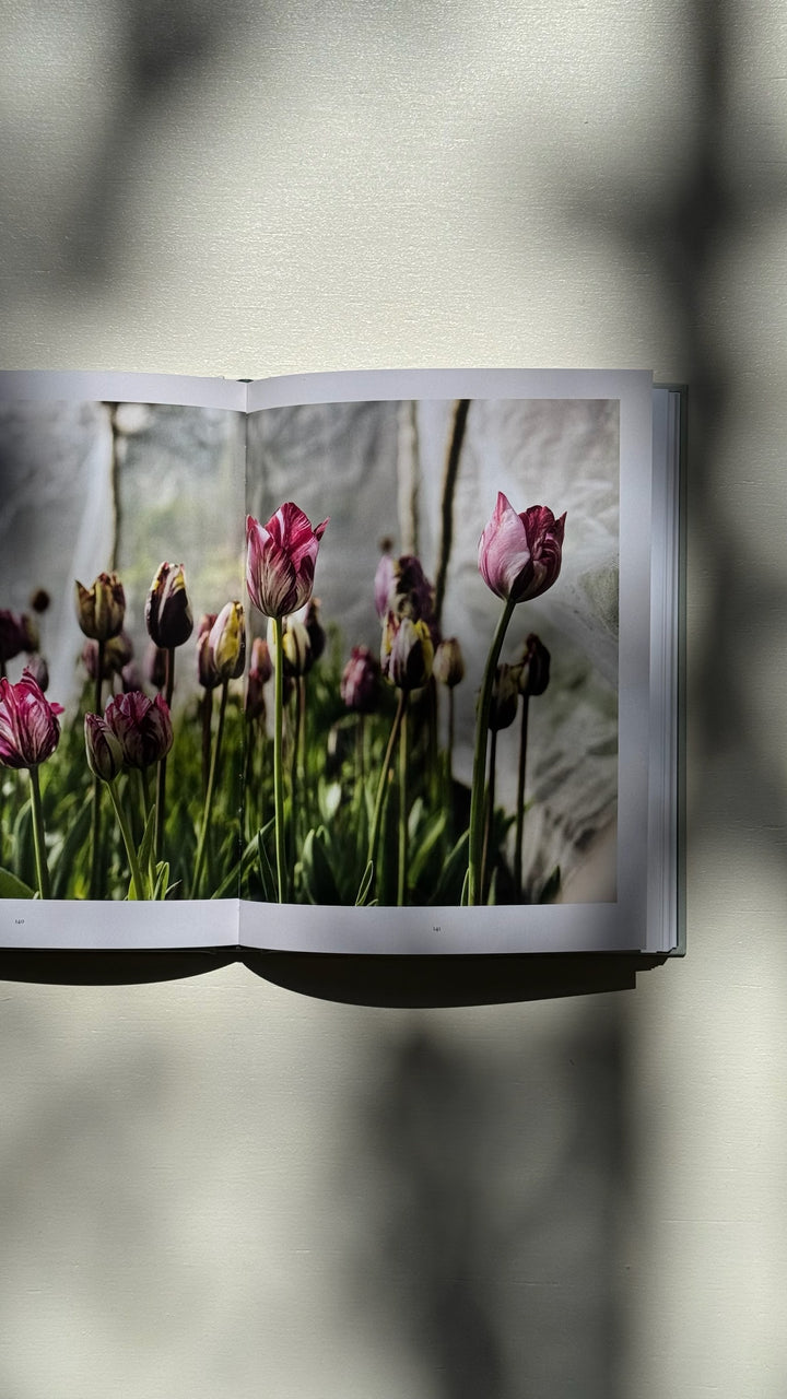 Tulip Garden Book