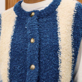 Shiba Vest - Blue