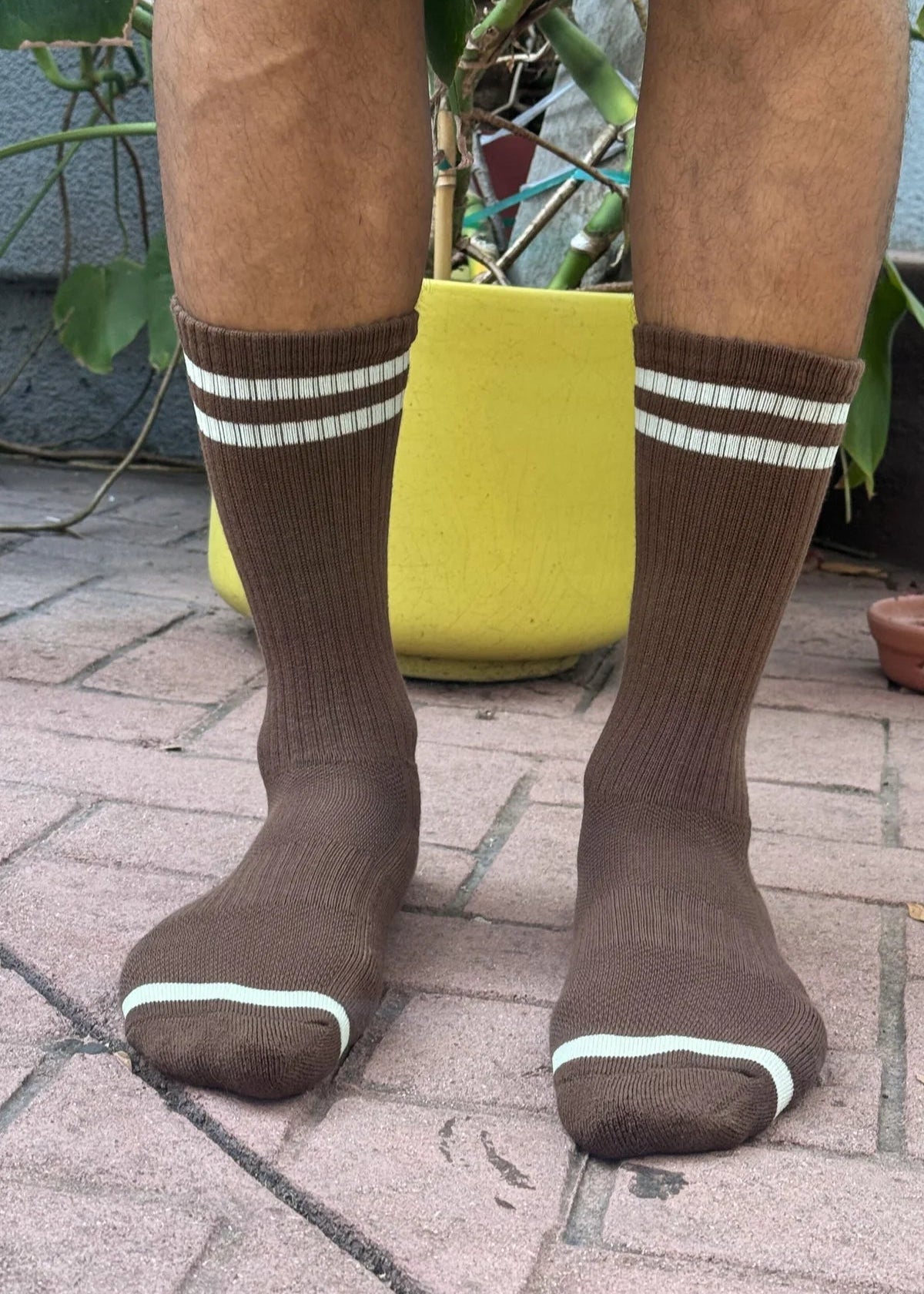 Brown socks with white stripes worn by a person on a brick pavement.