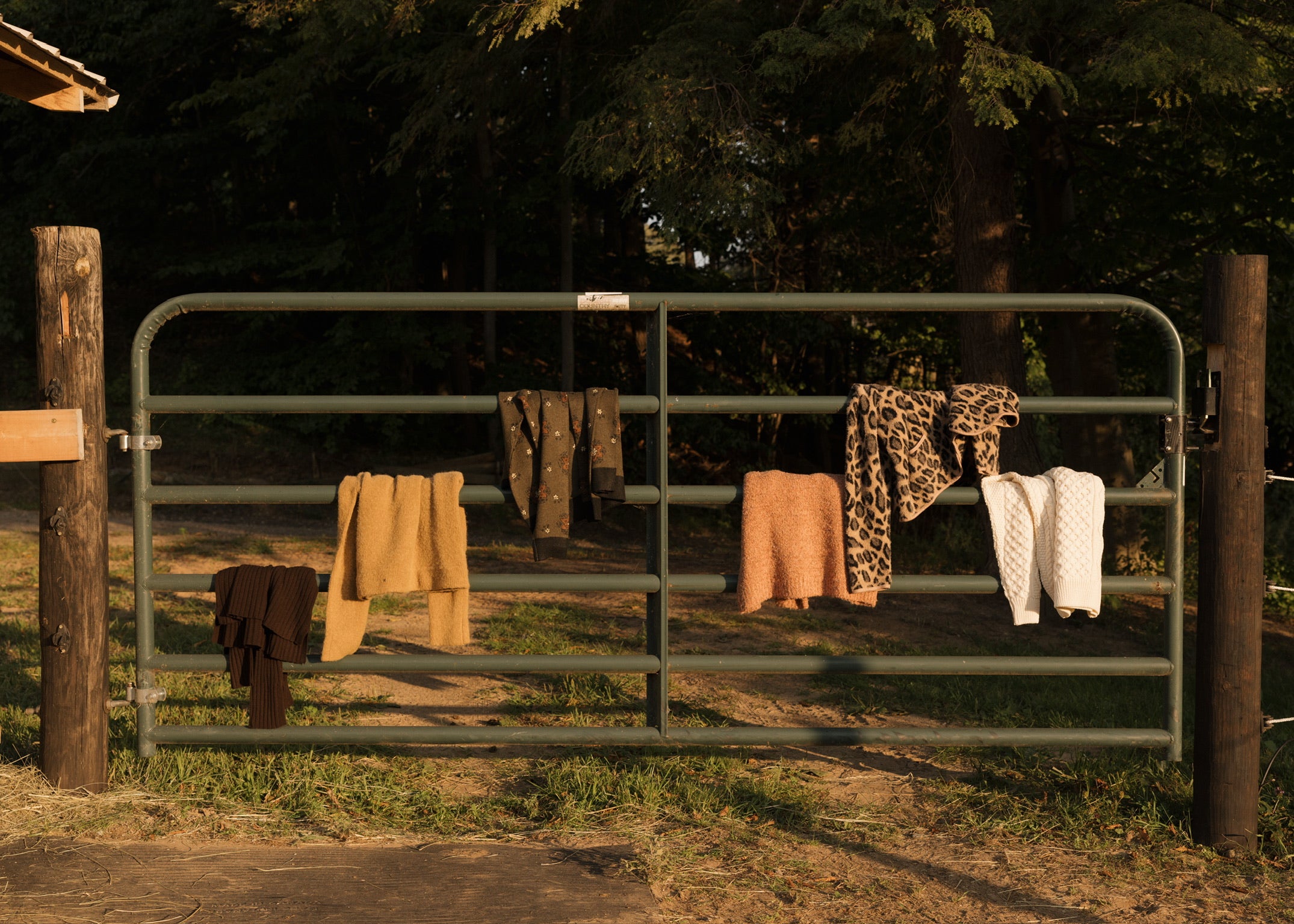 Autumn Arrivals