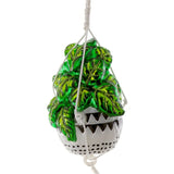 House Plant Ornament
