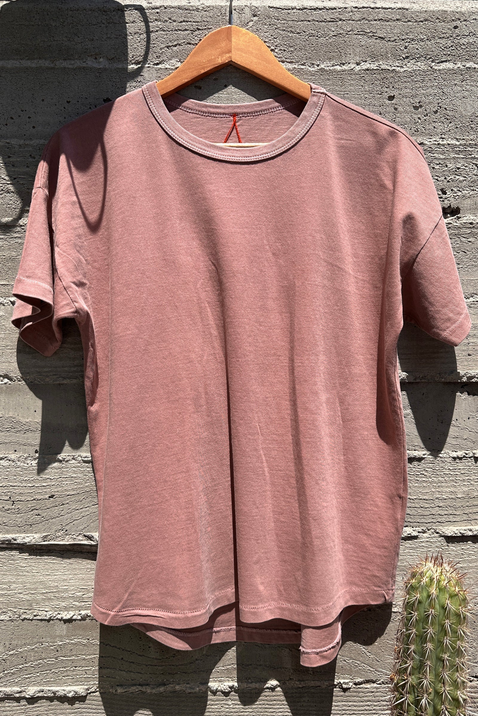 Pink t-shirt on a wooden hanger against a textured wall with a cactus plant.