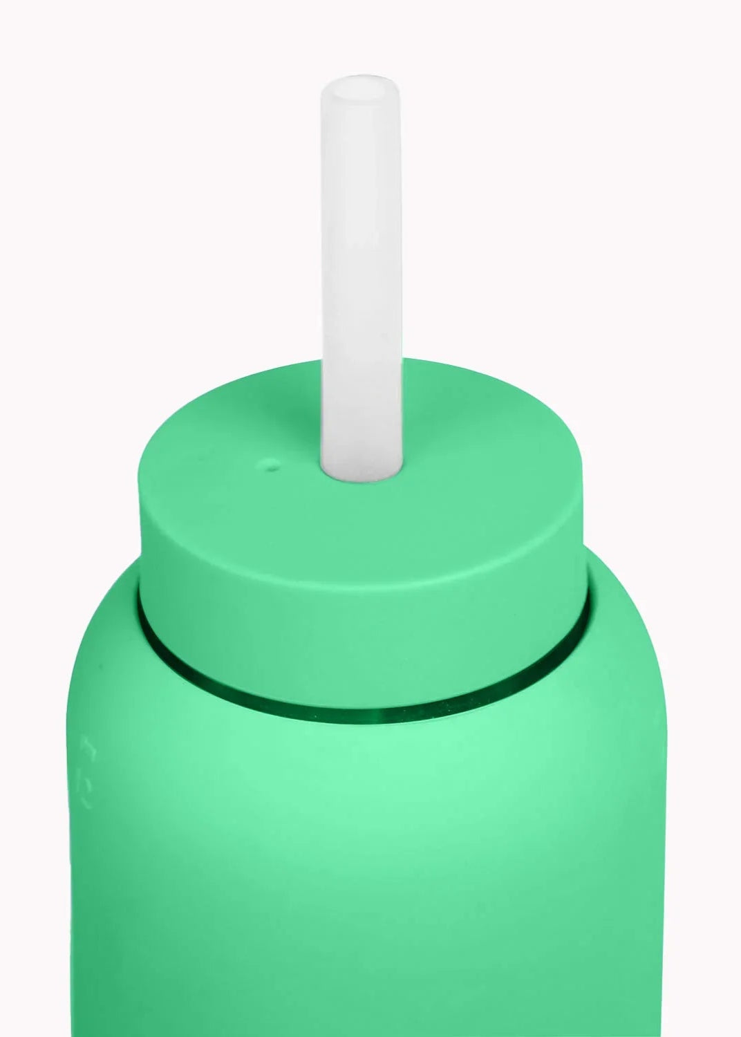 27oz Bottle Lounge Straw + Cap - Paris Green