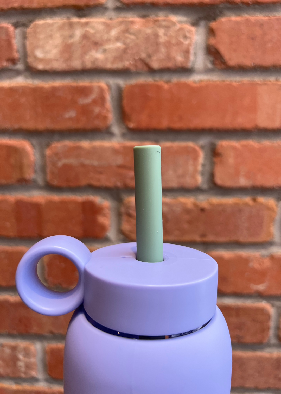 Silicone Straws - Aloe