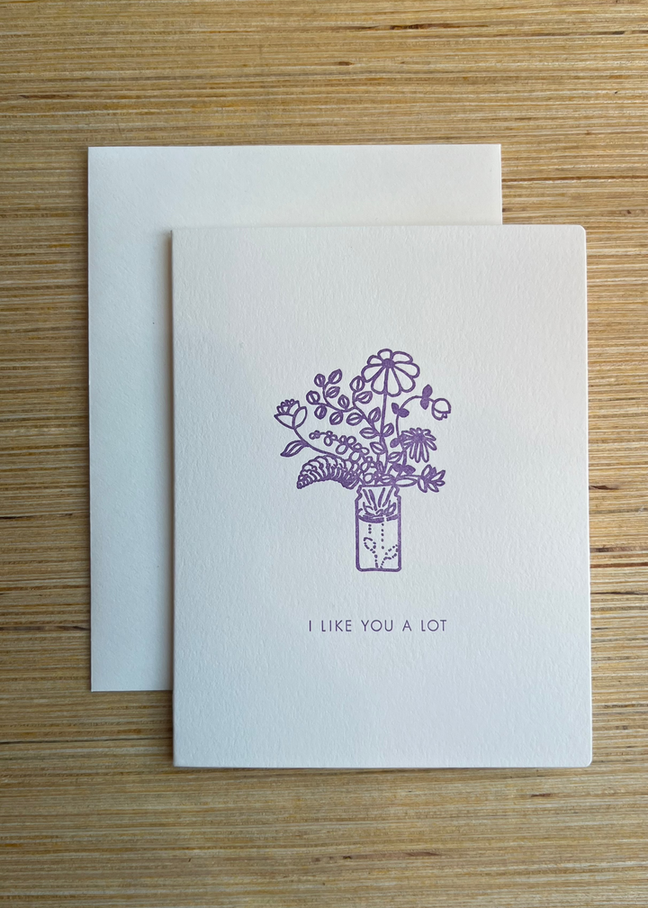 I Like You A Lot Card