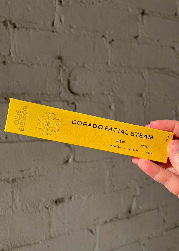 Dorado Facial Steamer