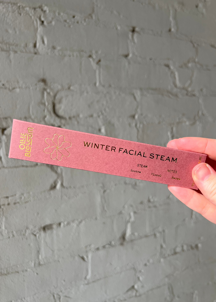 Winter Facial Steamer