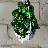 House Plant Ornament
