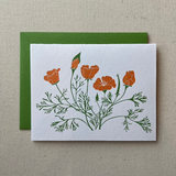 Poppies Card