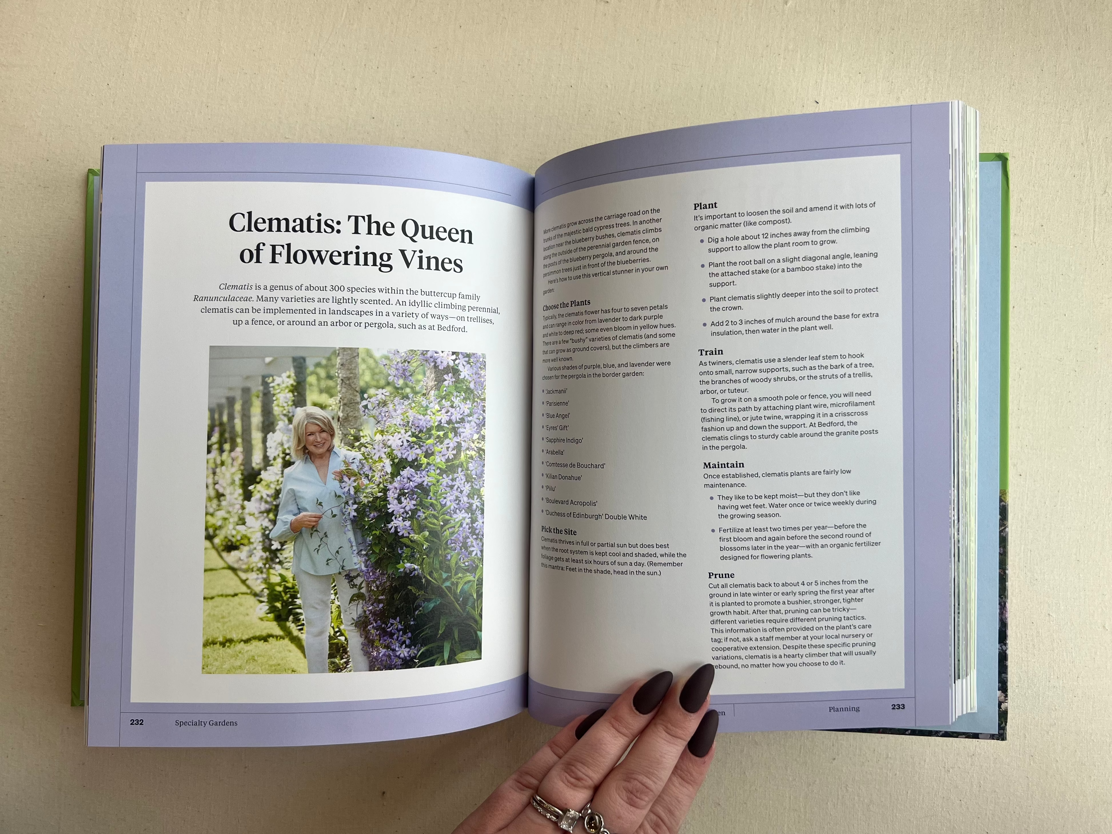 Martha Stewart's Gardening Handbook