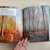 Martha Stewart's Gardening Handbook