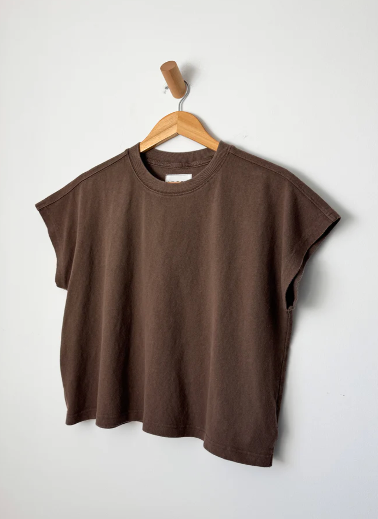 Brown t-shirt on a wooden hanger against a white background