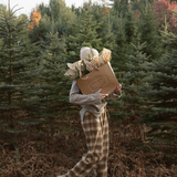 Plaid Trousers - Brown