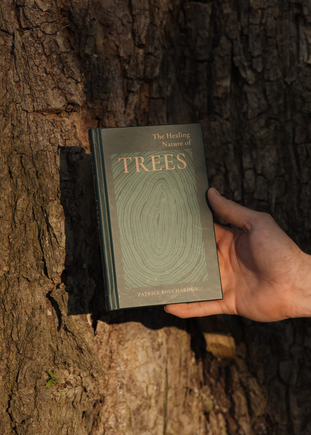 Healing Nature Of Trees Book