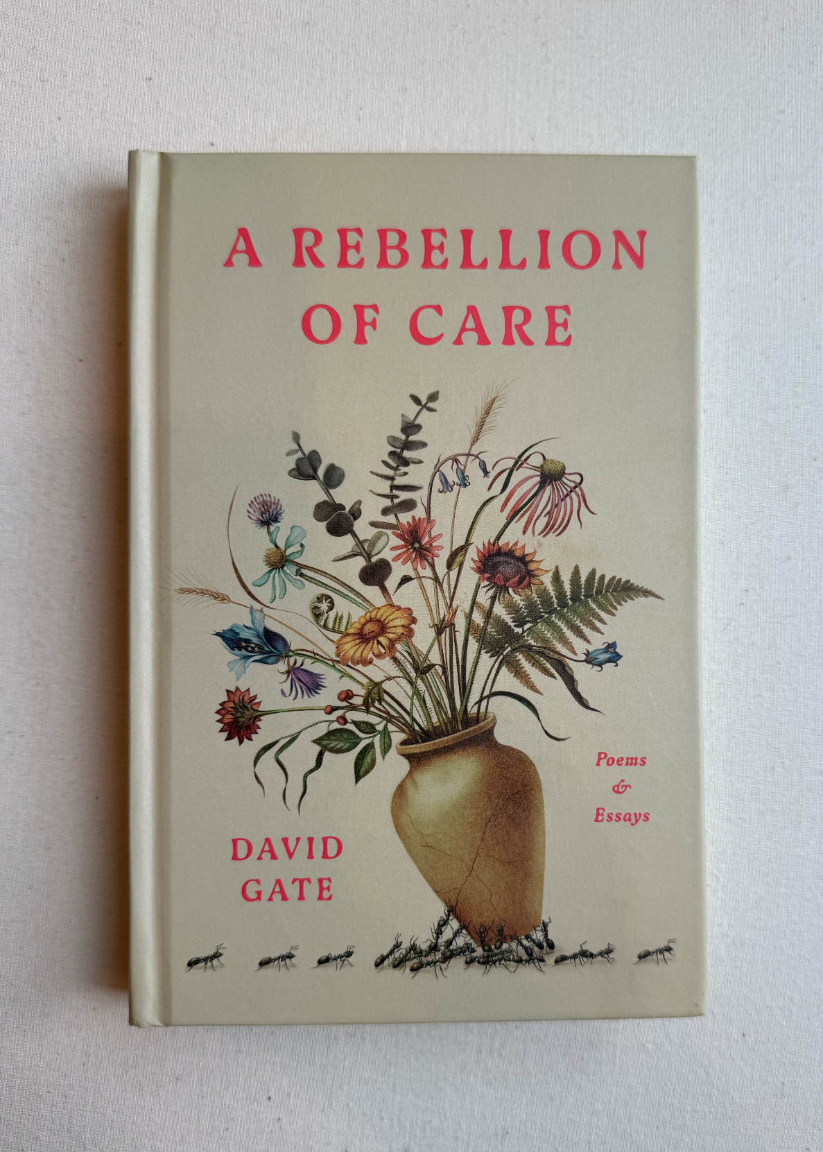 A Rebellion Of Care Book
