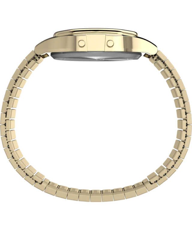 T80 34mm Expansion Band Watch - Gold