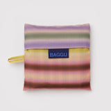 Standard Baggu - Gradient Stripe Multi