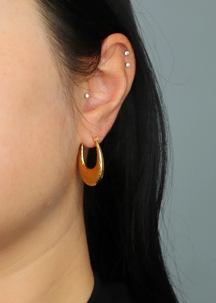 Lani Hoop Earrings