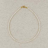 Micro Pearl Anklet - Gold