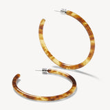 Large Hoops - Modern Walnut