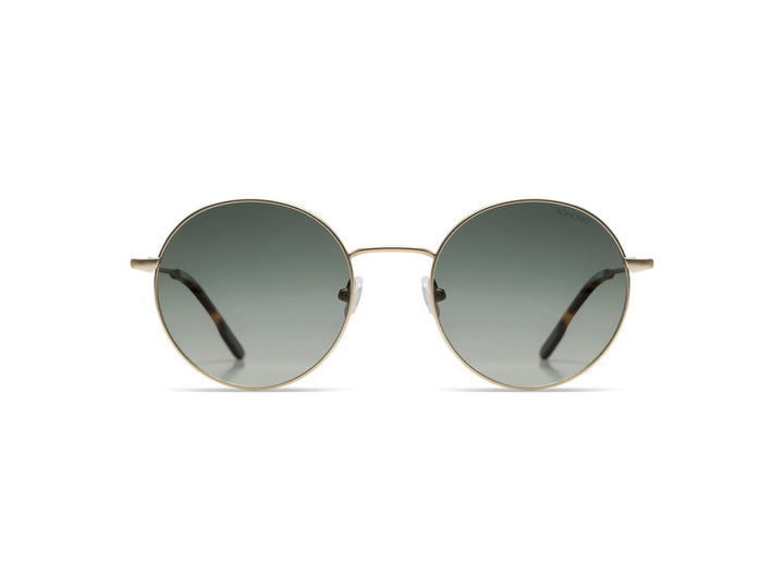 Jude Sunglasses - White Gold