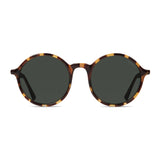 Madison Sunglasses - Tortoise